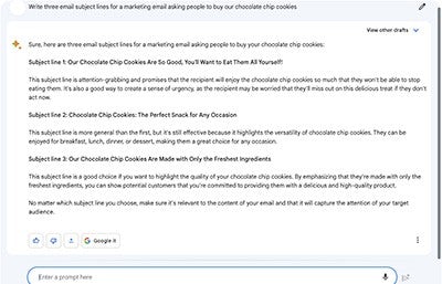 screenshot of Google Bard answering a prompt for 3 email subject lines about buying our cookies